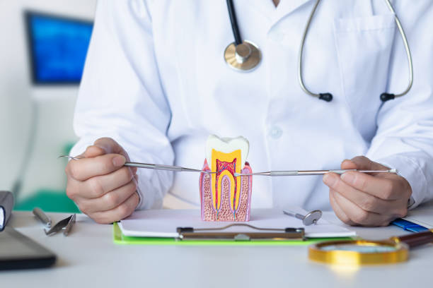 Best Dentist for Tooth Abscess  in Hilliard, FL